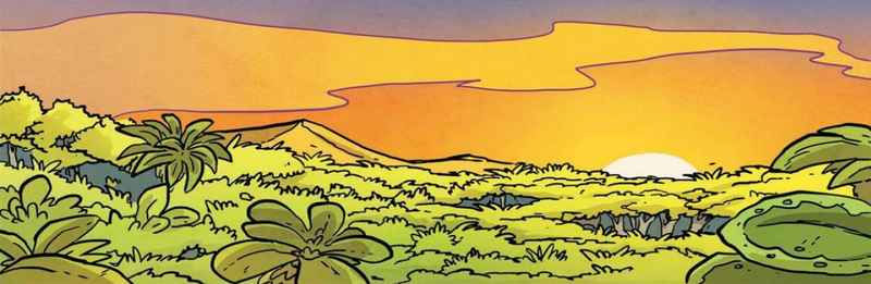 Soubor:Regenwald von oben.png