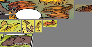 Moorhens Schwester.png