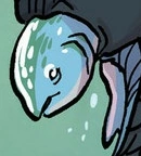 Grauer Fisch mit rosa Bauch.png