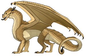 Qibli ref(kniha).webp