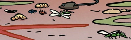 Soubor:Ungewöhnliche Insekten.png