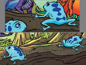 Glubschäugige himmelblaue Frösche.png