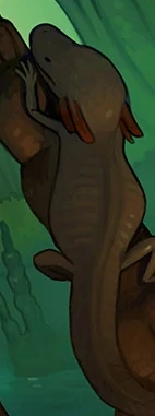 Soubor:Axolotl.png