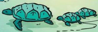 Soubor:Meeresschildkröte.GN2.3.png