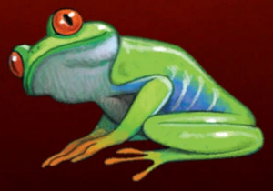 Laubfrosch.Guide.png