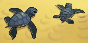 Meeresschildkröte.png