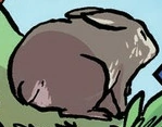 Soubor:Kaninchen.GN6.png